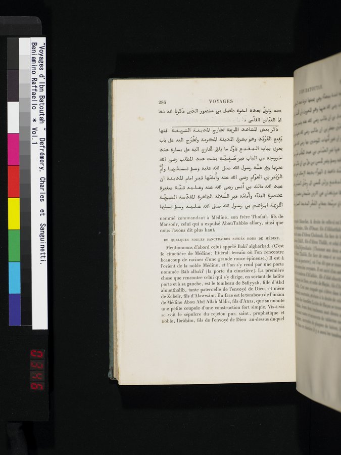 Voyages d'Ibn Batoutah : vol.1 / 346 ページ（カラー画像）