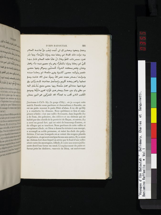 Voyages d'Ibn Batoutah : vol.1 / 355 ページ（カラー画像）