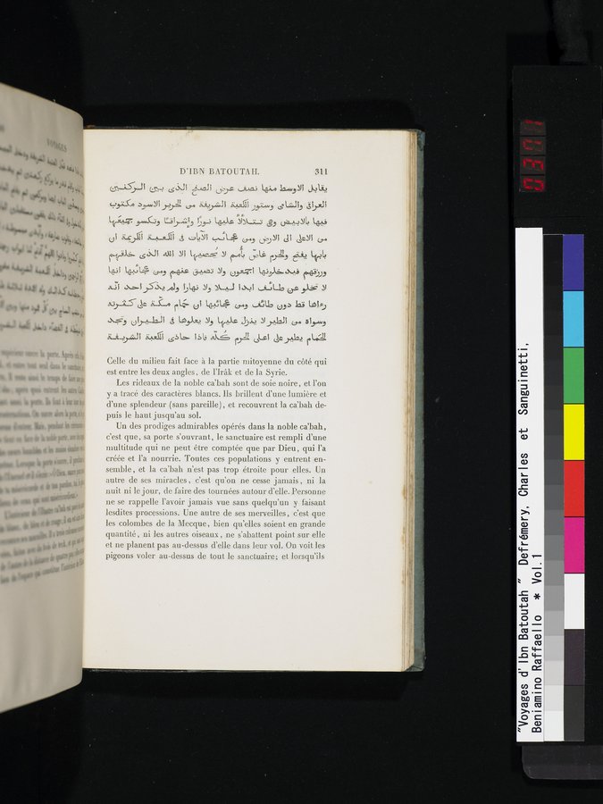 Voyages d'Ibn Batoutah : vol.1 / 371 ページ（カラー画像）
