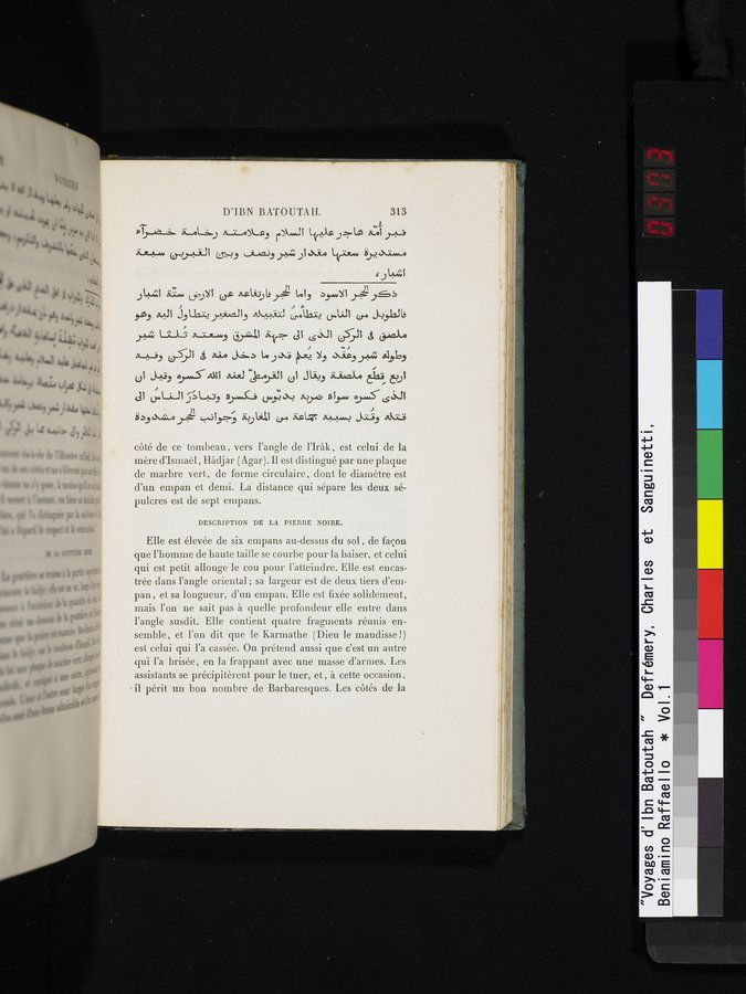 Voyages d'Ibn Batoutah : vol.1 / 373 ページ（カラー画像）