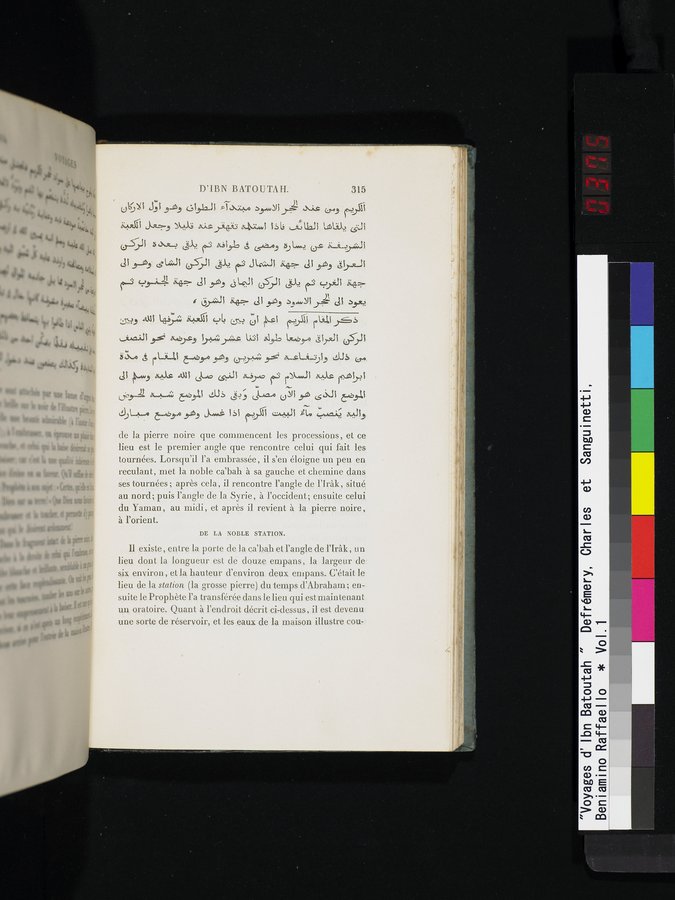 Voyages d'Ibn Batoutah : vol.1 / 375 ページ（カラー画像）