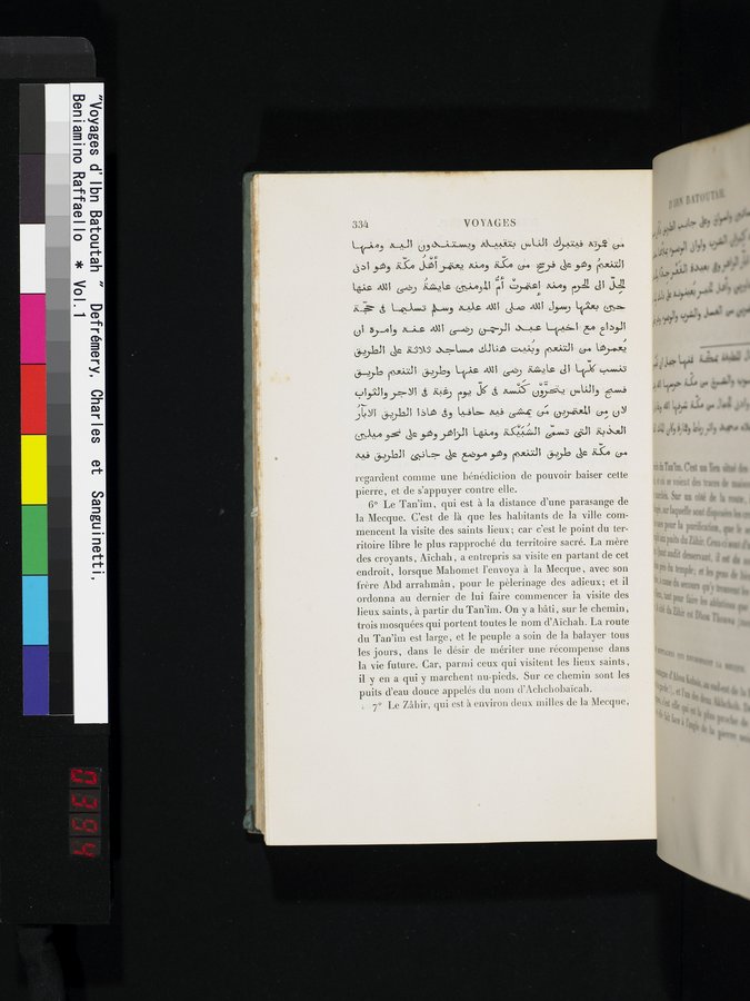 Voyages d'Ibn Batoutah : vol.1 / 394 ページ（カラー画像）