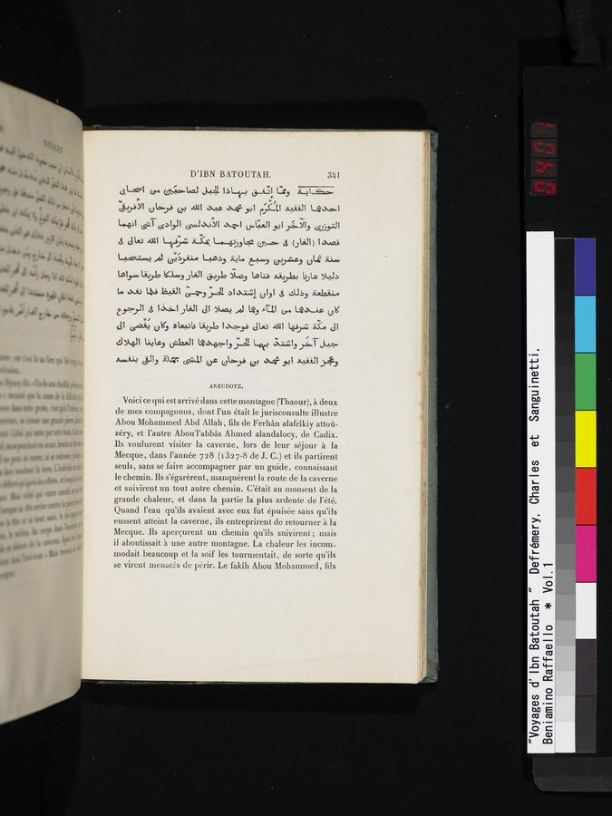 Voyages d'Ibn Batoutah : vol.1 / 401 ページ（カラー画像）