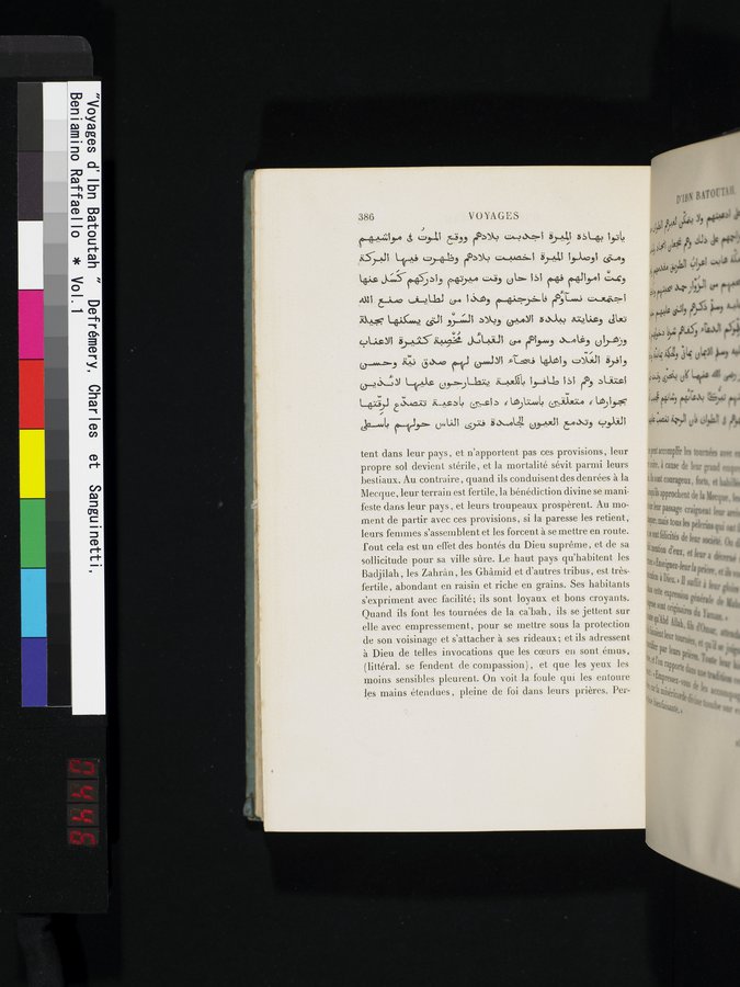 Voyages d'Ibn Batoutah : vol.1 / 446 ページ（カラー画像）