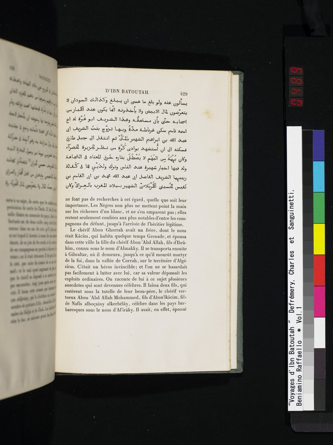 Voyages d'Ibn Batoutah : vol.1 / 489 ページ（カラー画像）