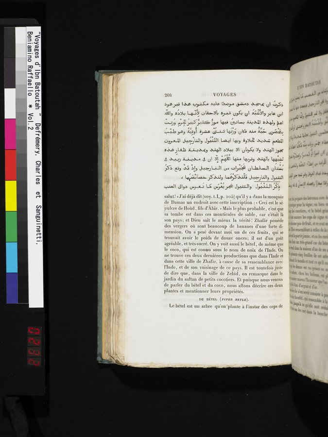 Voyages d'Ibn Batoutah : vol.2 / 232 ページ（カラー画像）