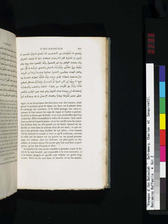 Voyages d'Ibn Batoutah : vol.2 / 233 ページ（カラー画像）