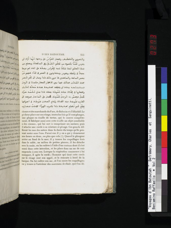 Voyages d'Ibn Batoutah : vol.2 / 273 ページ（カラー画像）