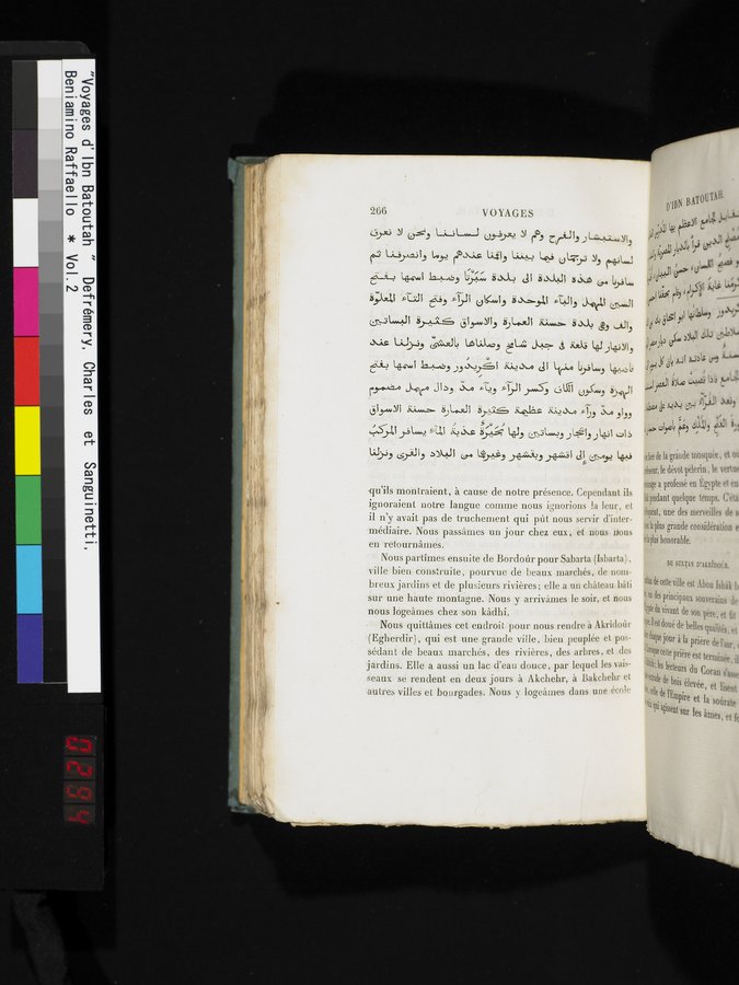 Voyages d'Ibn Batoutah : vol.2 / 294 ページ（カラー画像）