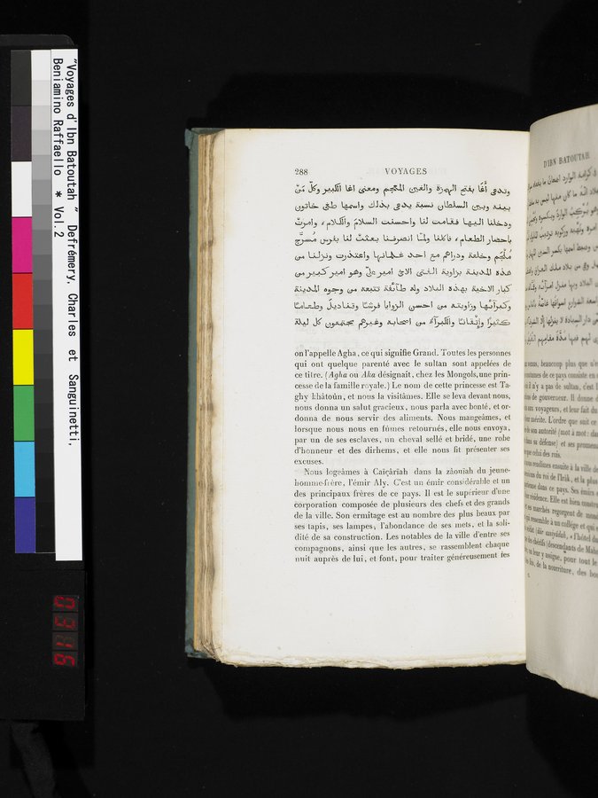 Voyages d'Ibn Batoutah : vol.2 / 316 ページ（カラー画像）