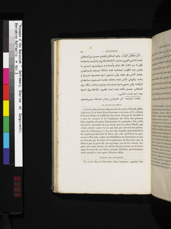 Voyages d'Ibn Batoutah : vol.3 / Page 104 (Color Image)
