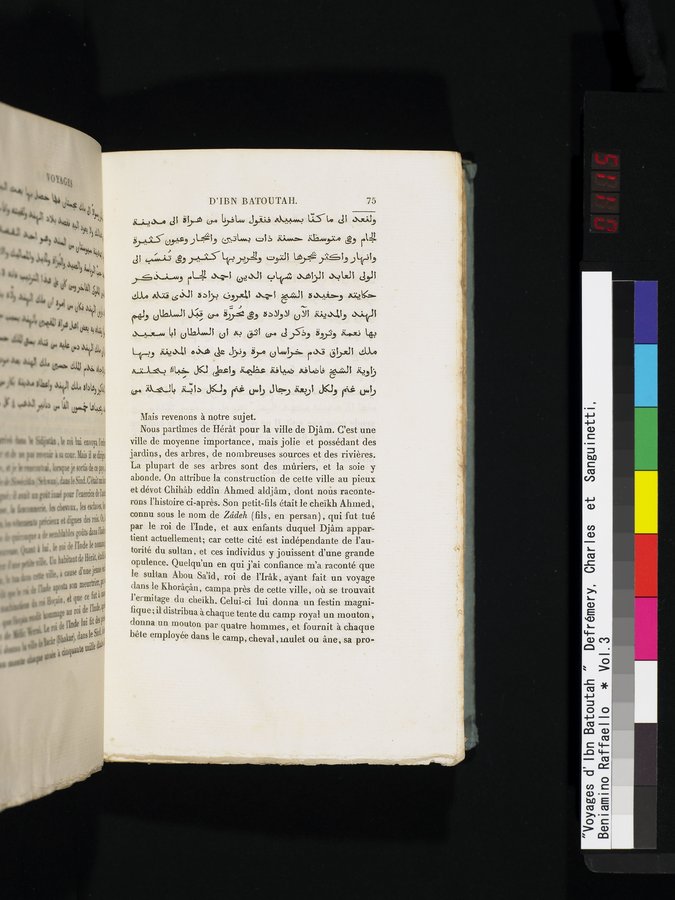 Voyages d'Ibn Batoutah : vol.3 / 115 ページ（カラー画像）