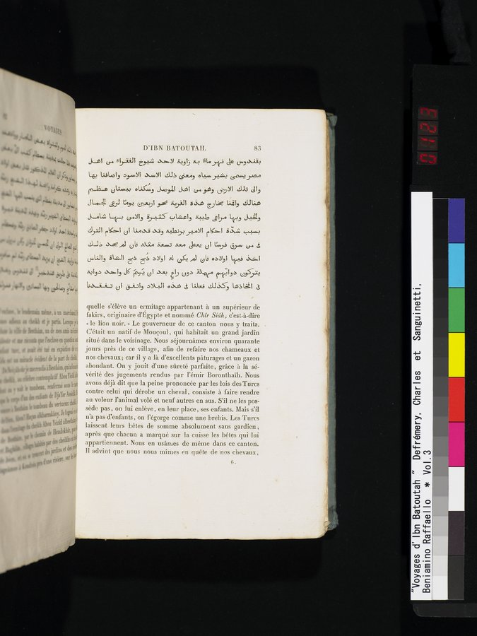 Voyages d'Ibn Batoutah : vol.3 / 123 ページ（カラー画像）