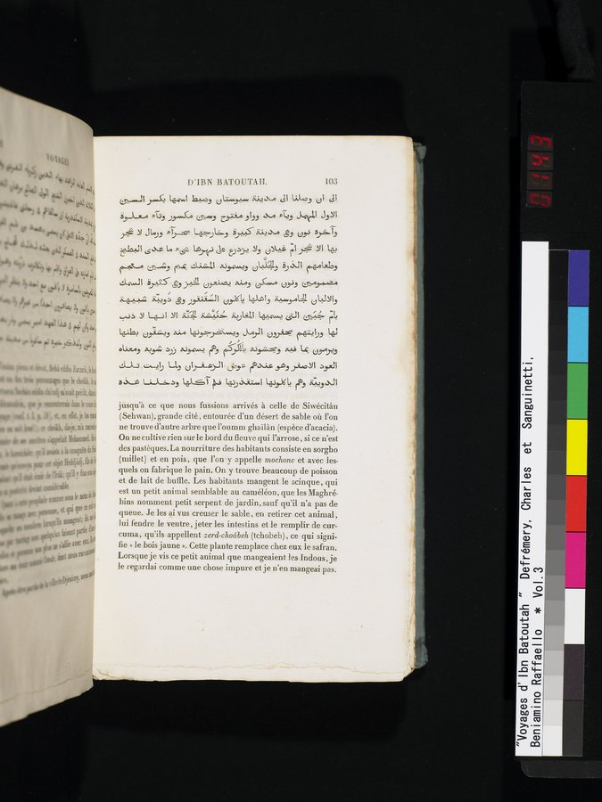 Voyages d'Ibn Batoutah : vol.3 / 143 ページ（カラー画像）