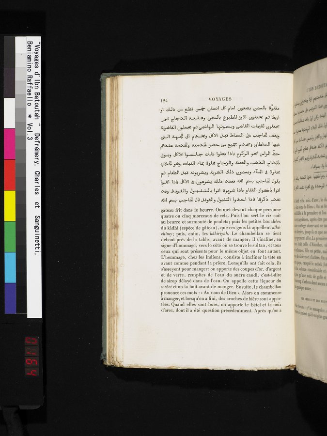 Voyages d'Ibn Batoutah : vol.3 / Page 164 (Color Image)