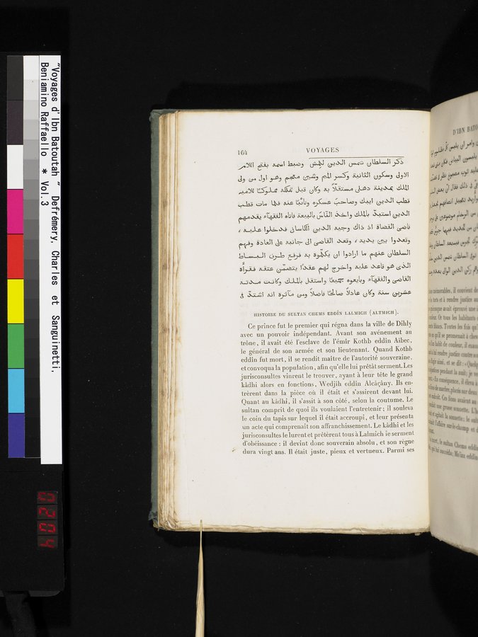 Voyages d'Ibn Batoutah : vol.3 / 204 ページ（カラー画像）