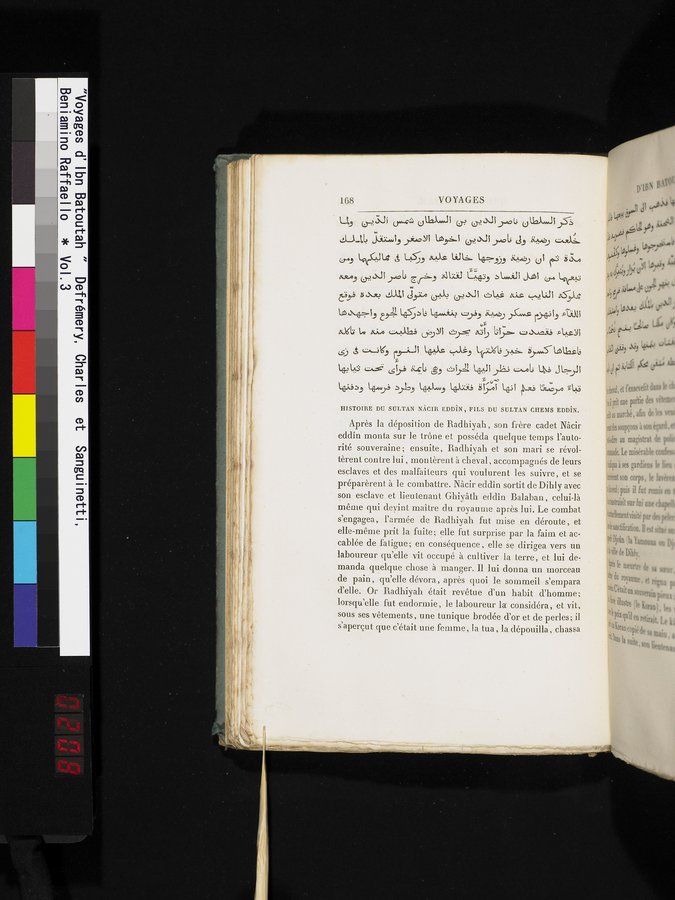 Voyages d'Ibn Batoutah : vol.3 / 208 ページ（カラー画像）