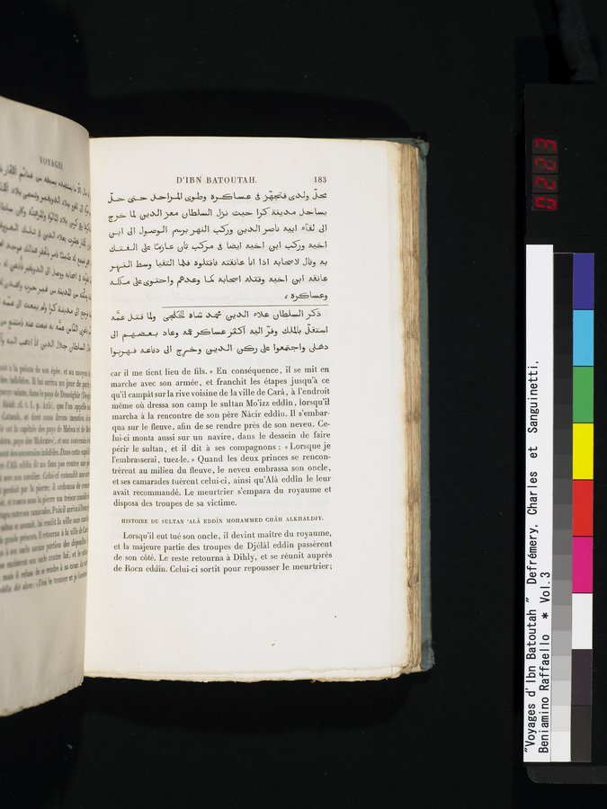 Voyages d'Ibn Batoutah : vol.3 / 223 ページ（カラー画像）
