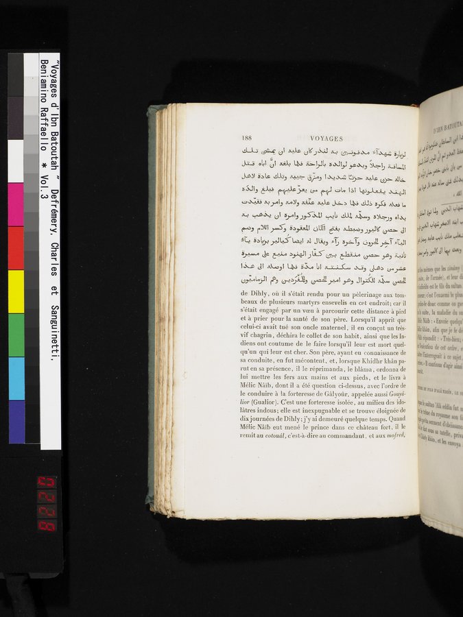 Voyages d'Ibn Batoutah : vol.3 / Page 228 (Color Image)