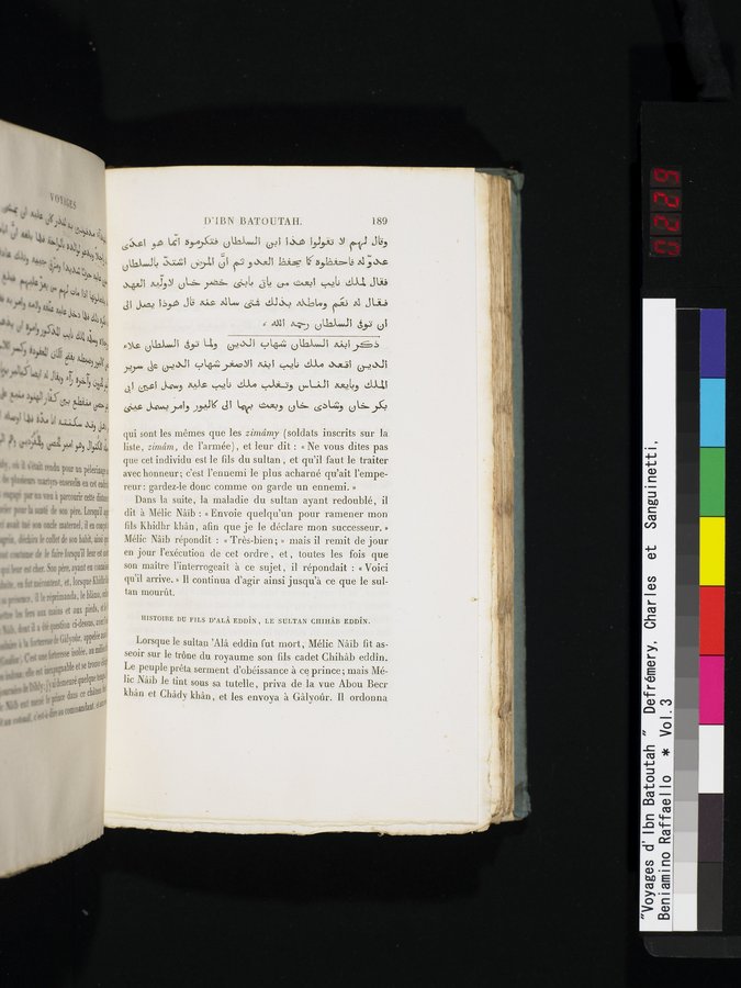 Voyages d'Ibn Batoutah : vol.3 / 229 ページ（カラー画像）