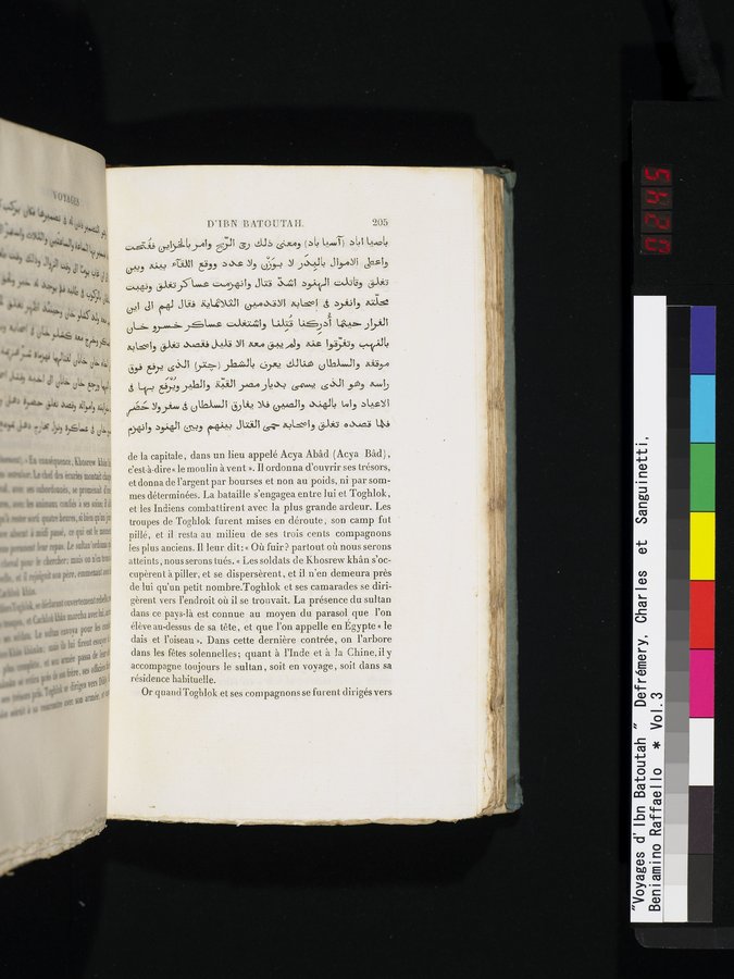 Voyages d'Ibn Batoutah : vol.3 / 245 ページ（カラー画像）