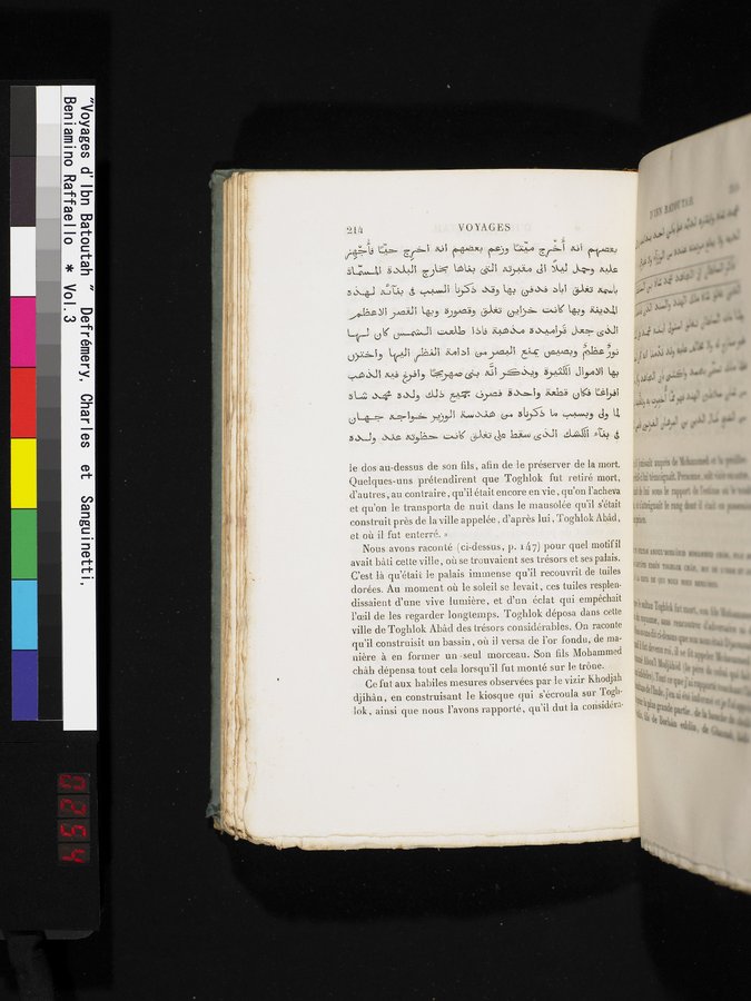 Voyages d'Ibn Batoutah : vol.3 / 254 ページ（カラー画像）
