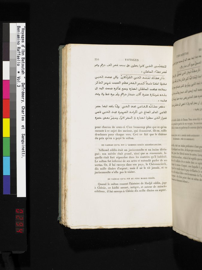 Voyages d'Ibn Batoutah : vol.3 / 294 ページ（カラー画像）