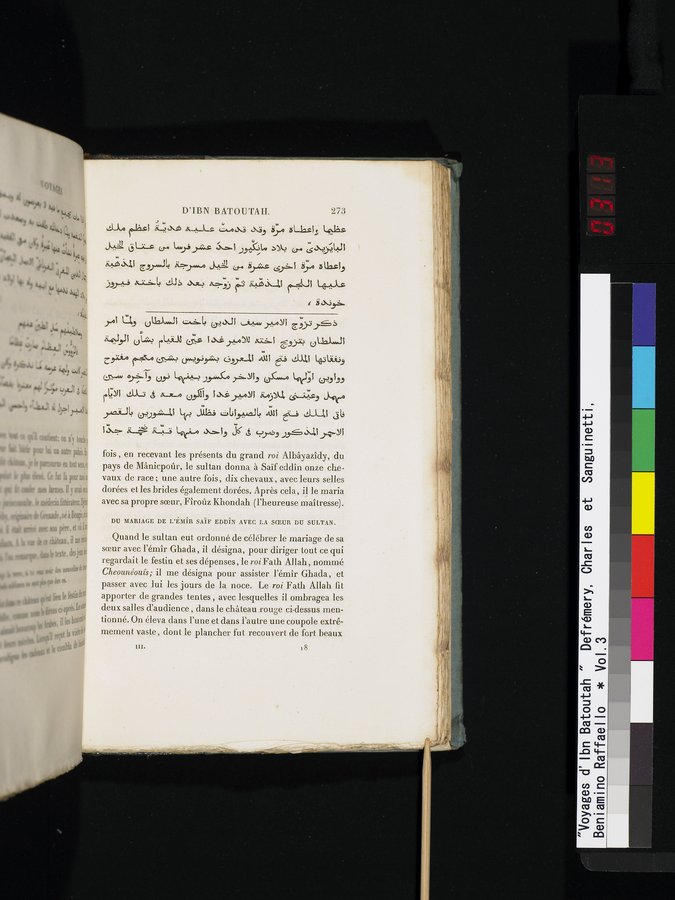 Voyages d'Ibn Batoutah : vol.3 / 313 ページ（カラー画像）