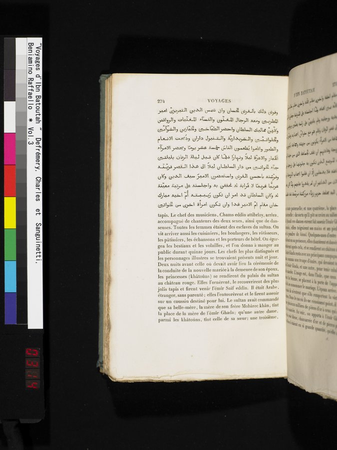 Voyages d'Ibn Batoutah : vol.3 / 314 ページ（カラー画像）