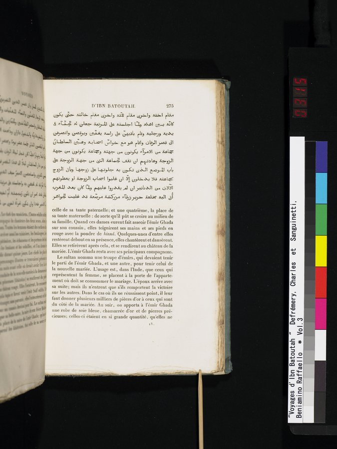 Voyages d'Ibn Batoutah : vol.3 / 315 ページ（カラー画像）