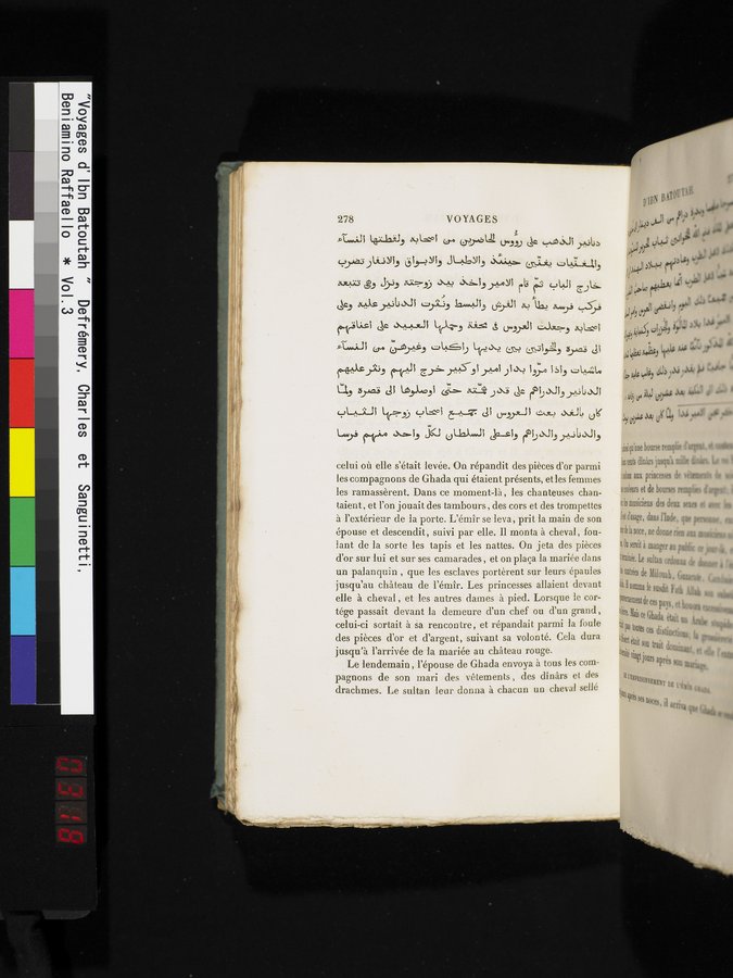Voyages d'Ibn Batoutah : vol.3 / 318 ページ（カラー画像）