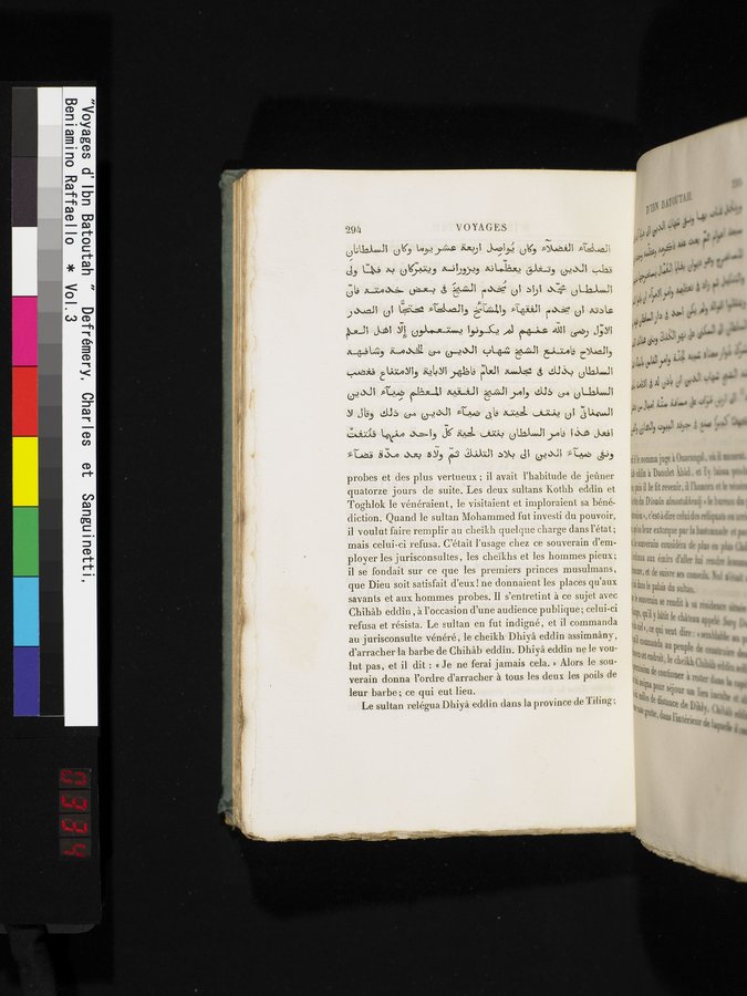 Voyages d'Ibn Batoutah : vol.3 / 334 ページ（カラー画像）