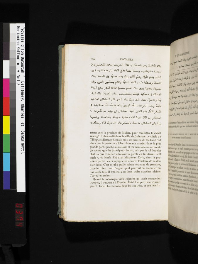 Voyages d'Ibn Batoutah : vol.3 / 374 ページ（カラー画像）
