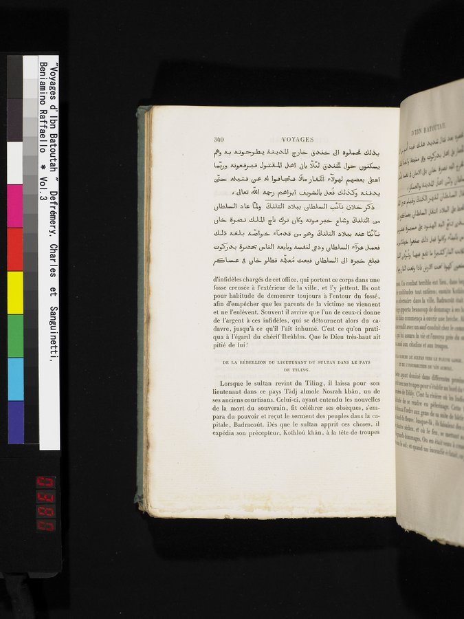 Voyages d'Ibn Batoutah : vol.3 / Page 380 (Color Image)