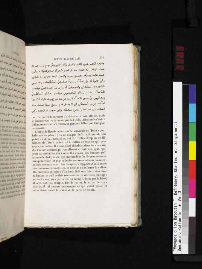 Voyages d'Ibn Batoutah : vol.3 / Page 383 (Color Image)