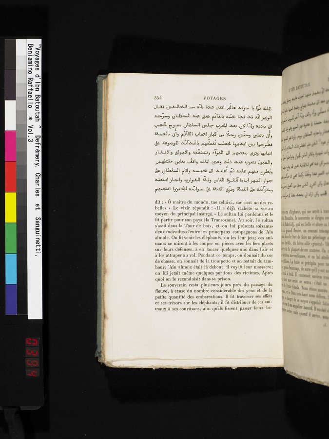 Voyages d'Ibn Batoutah : vol.3 / 394 ページ（カラー画像）