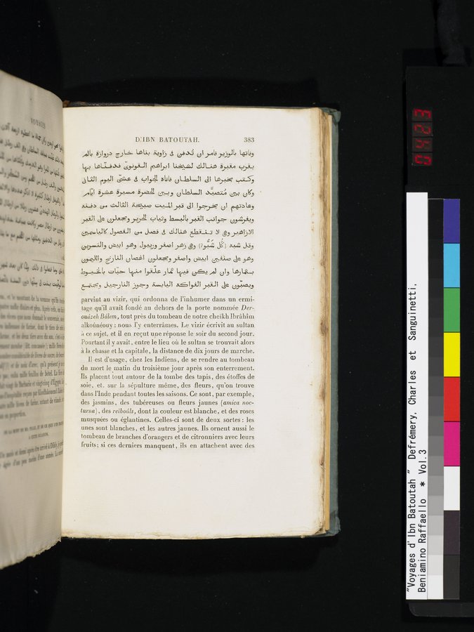 Voyages d'Ibn Batoutah : vol.3 / 423 ページ（カラー画像）