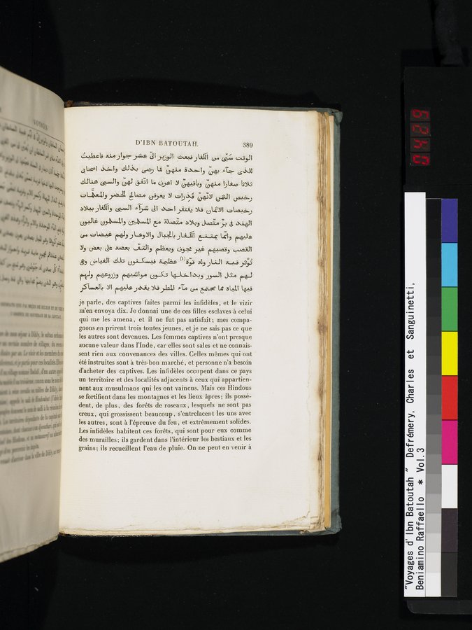 Voyages d'Ibn Batoutah : vol.3 / 429 ページ（カラー画像）