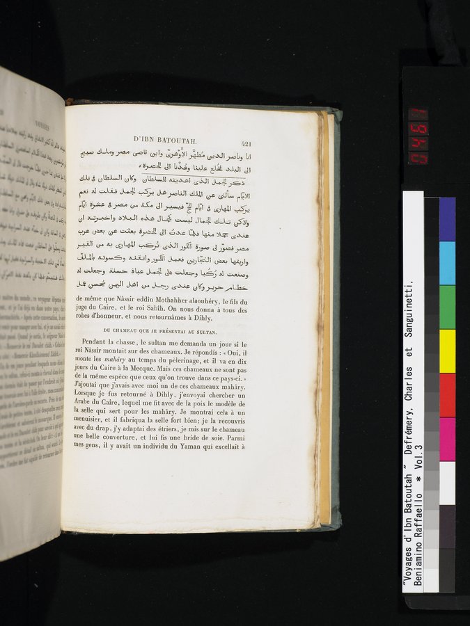 Voyages d'Ibn Batoutah : vol.3 / 461 ページ（カラー画像）
