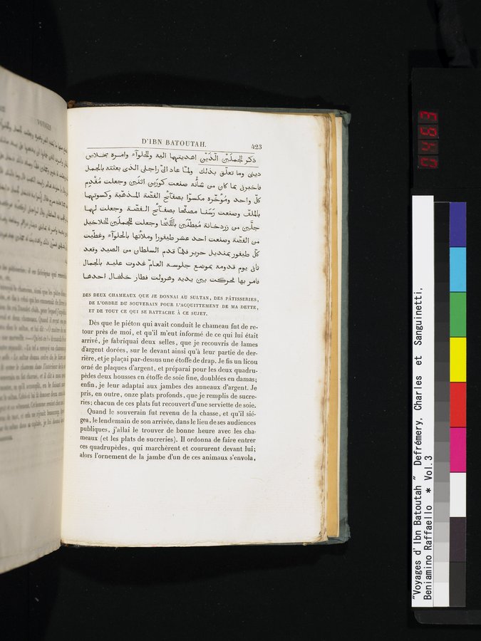 Voyages d'Ibn Batoutah : vol.3 / 463 ページ（カラー画像）