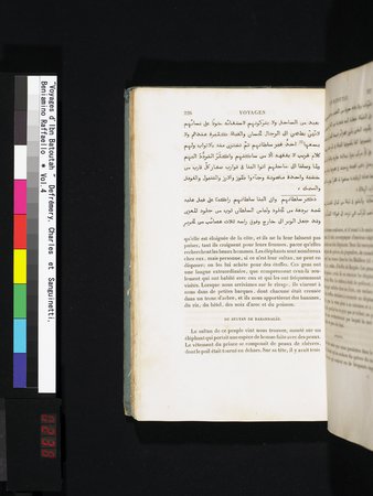 Voyages d'Ibn Batoutah : vol.4 : Page 238