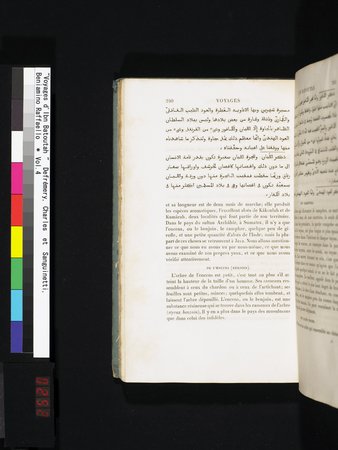 Voyages d'Ibn Batoutah : vol.4 : Page 252