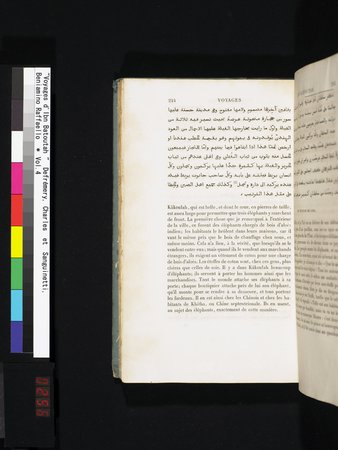 Voyages d'Ibn Batoutah : vol.4 : Page 256