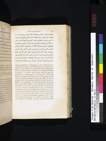 Voyages d'Ibn Batoutah : vol.4 : Page 347