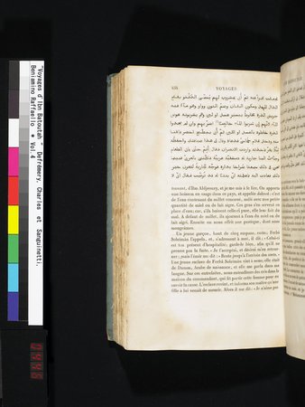 Voyages d'Ibn Batoutah : vol.4 : Page 446