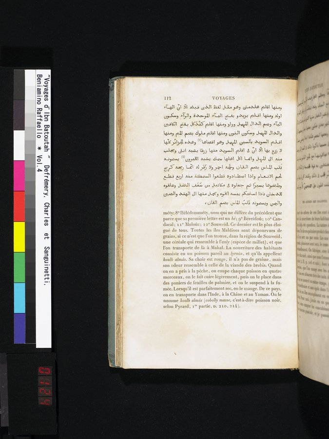 Voyages d'Ibn Batoutah : vol.4 / 124 ページ（カラー画像）