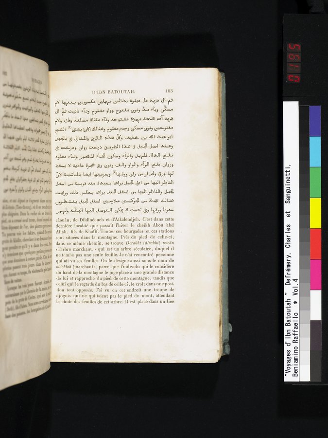 Voyages d'Ibn Batoutah : vol.4 / 195 ページ（カラー画像）