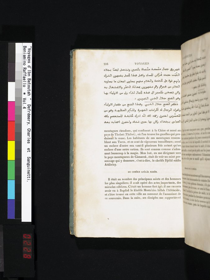 Voyages d'Ibn Batoutah : vol.4 / 228 ページ（カラー画像）