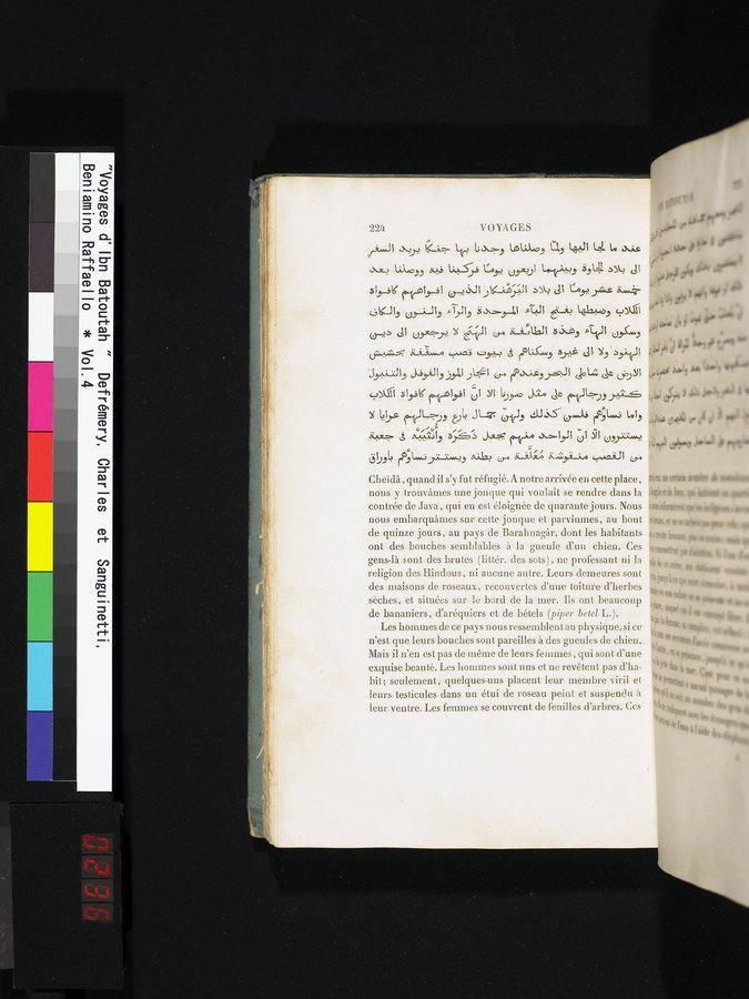 Voyages d'Ibn Batoutah : vol.4 / 236 ページ（カラー画像）