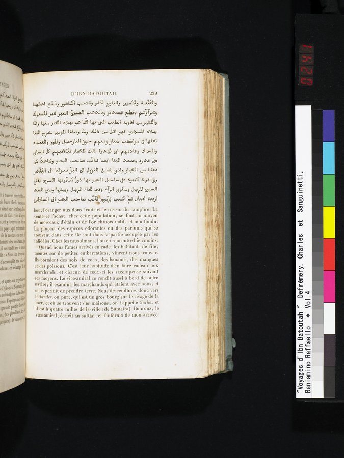 Voyages d'Ibn Batoutah : vol.4 / 241 ページ（カラー画像）